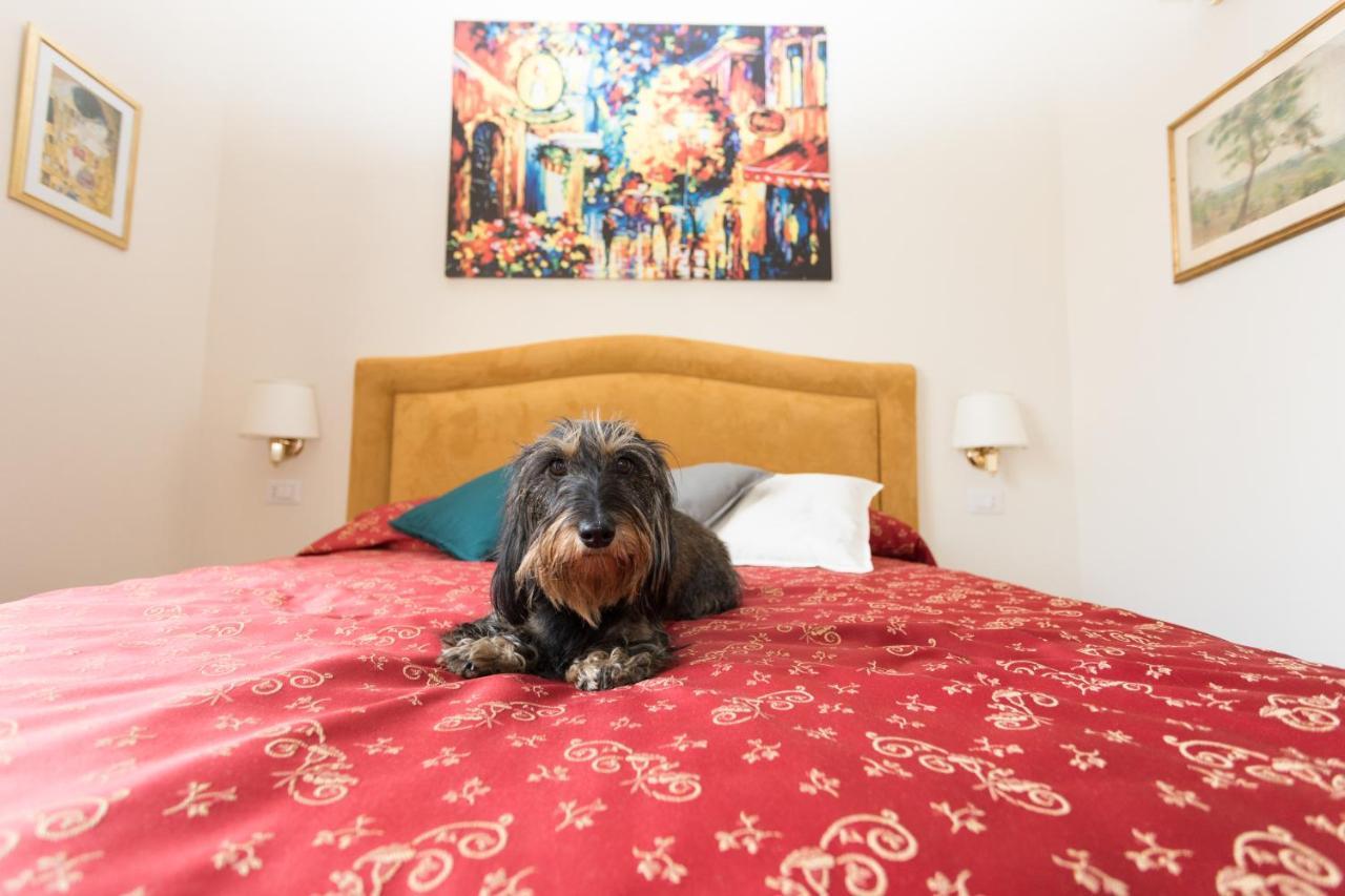 Dreaming In Rome - Vittorio Veneto Guest House Zewnętrze zdjęcie